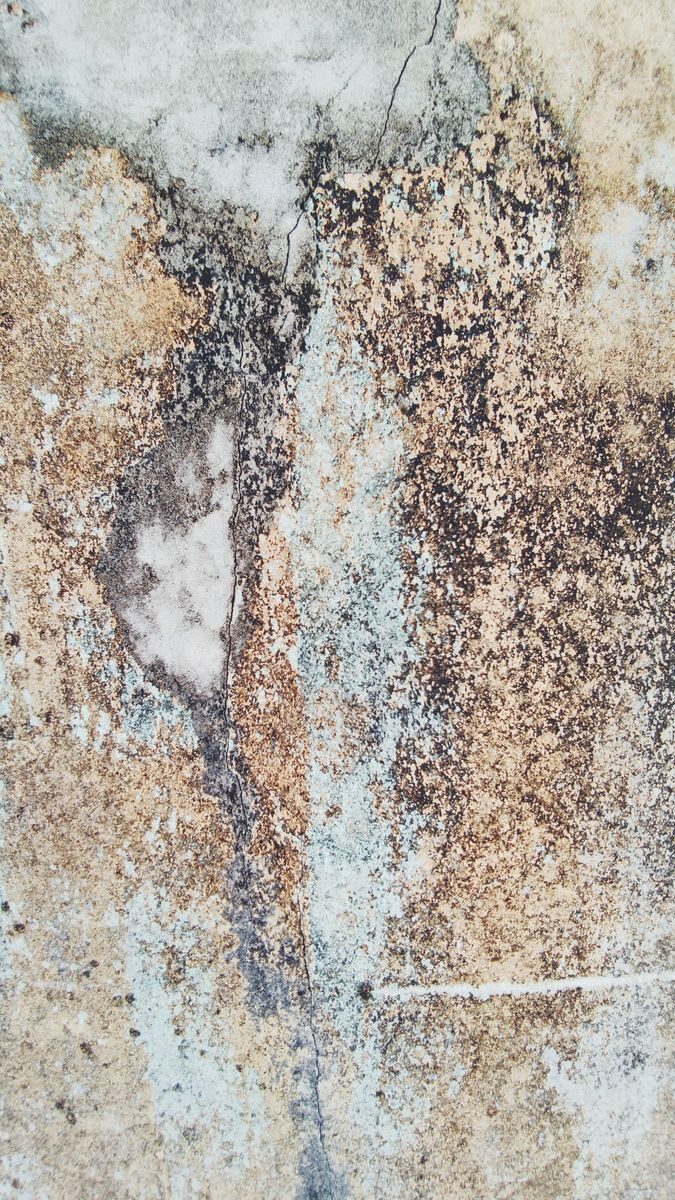 Close-up of a textured stone surface with natural color variations and patterns.
